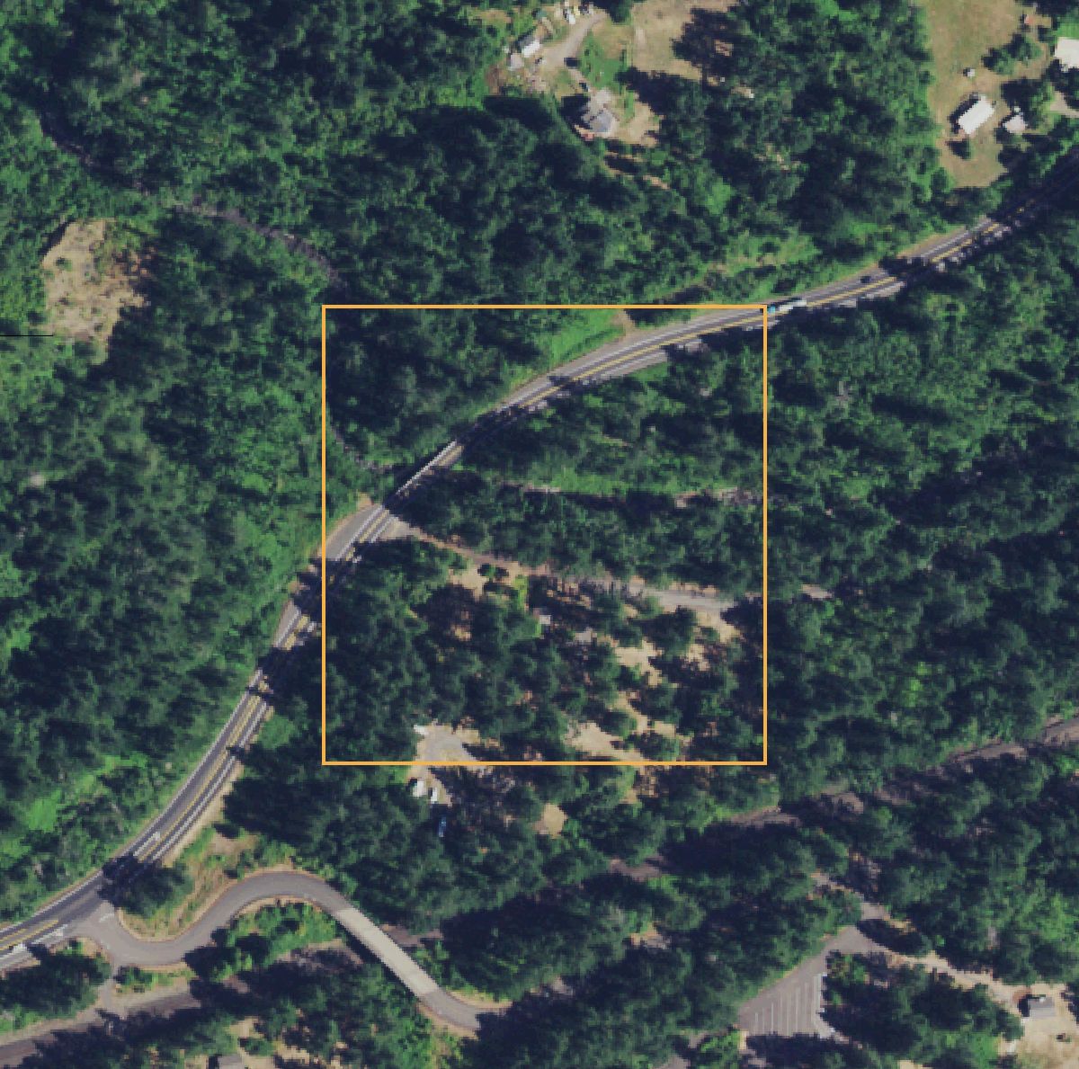 The 10-acre search square today: dense forest crossed by State Route 14, with a small clearing in the middle.